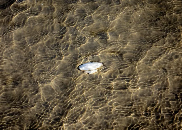 Dom wakacyjny Ostseehimmel Glücksburg